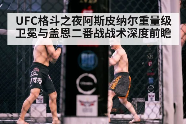 MMA fighters octagon fight